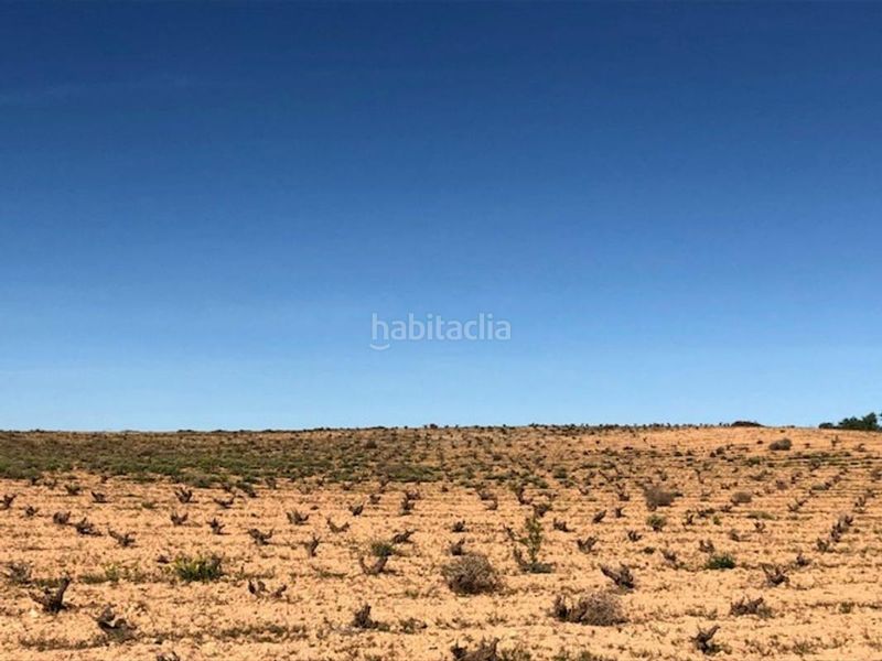 Foto 5d6d5b27-e165-41db-9c34-f8c39d060bf2. Finca rústica a Jumilla