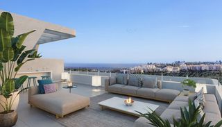 Penthouse  C. brida