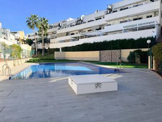 Planta baixa  C. poseidon