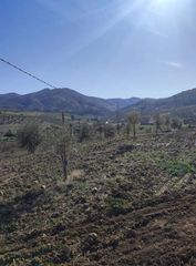 Finca rústica a Polígono 174 Parcela