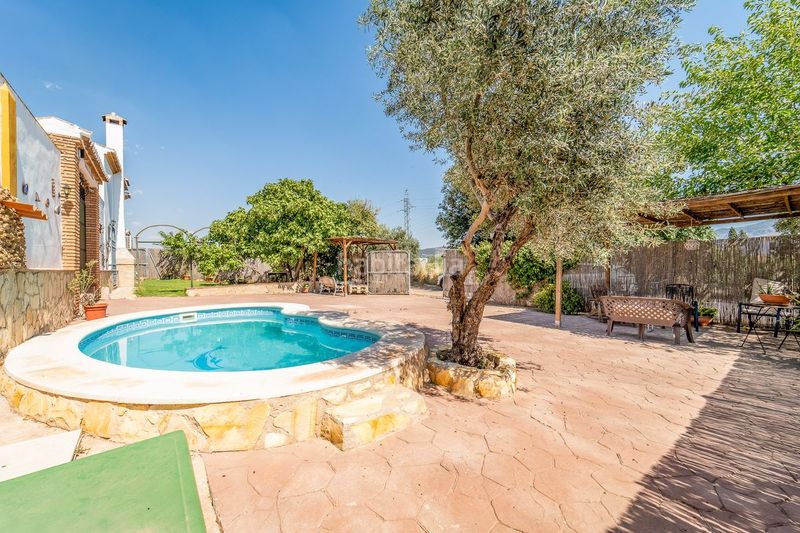 Foto a76f371a-7e41-4ead-b7e8-8feed7d76997. Masia amb calefacció aparcament piscina a Centro Antequera