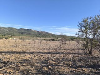 Propriété  Polígono 12 parcela 66