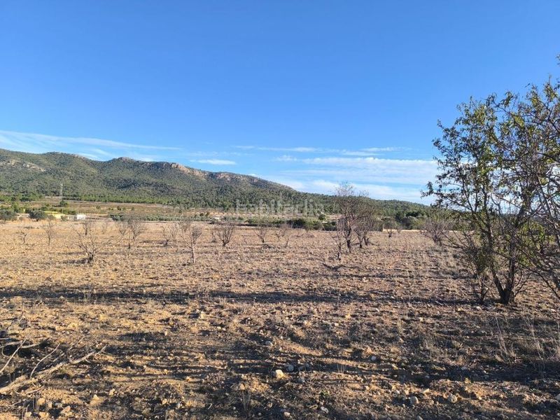 Foto 0ad2a225-2a1d-4ebb-92d4-ef1a966f5583. Finca rústica a Salinas