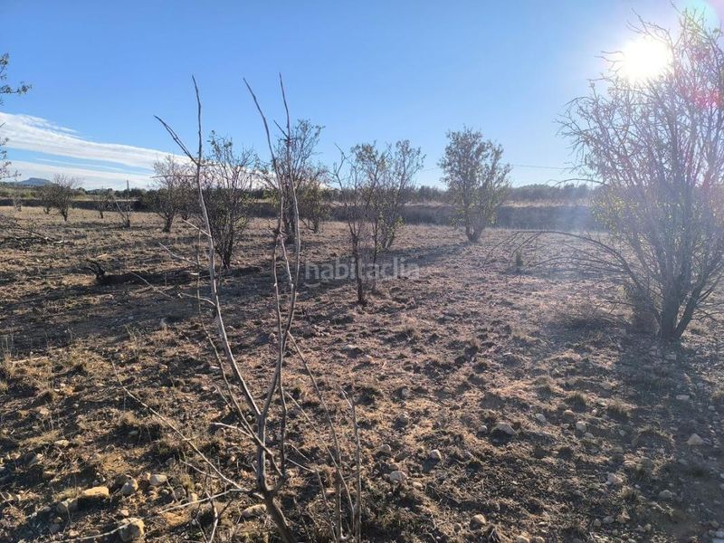 Foto af2d78df-6307-4982-991c-2e9b2059380c. Finca rústica a Salinas