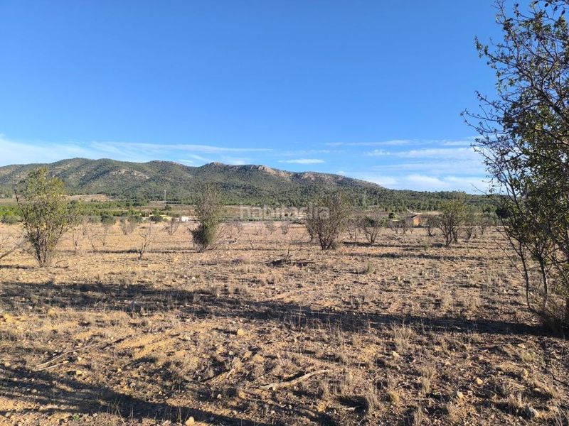 Foto cbd71603-1f72-47ae-8514-68473cad1dd8. Finca rústica a Salinas