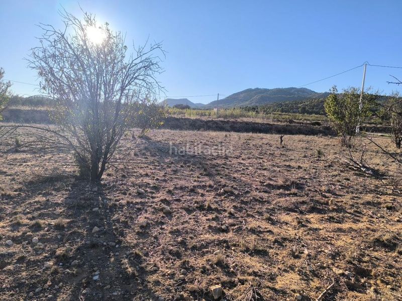 Foto e089d220-a161-4a8b-9578-9e902012dbb8. Finca rústica a Salinas