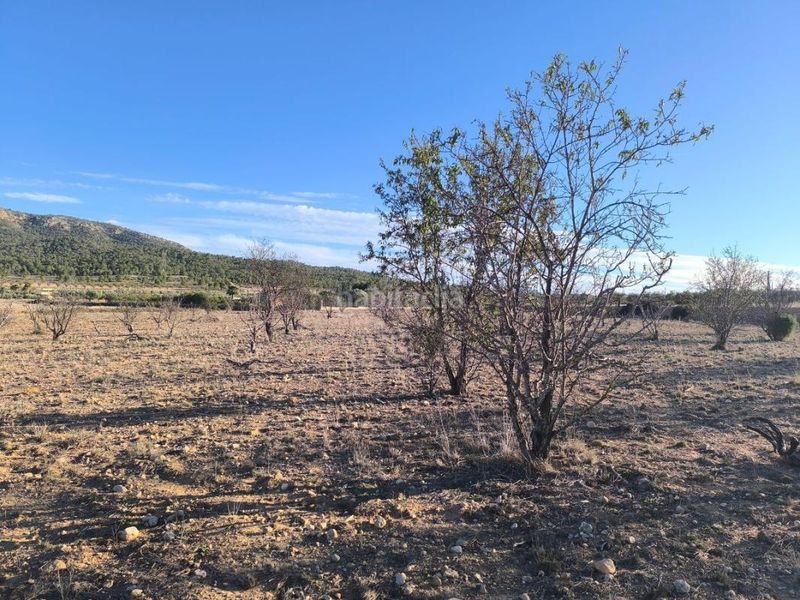 Foto fd2487c7-d2d0-4b05-b659-b8d52deb9319. Finca rústica a Salinas
