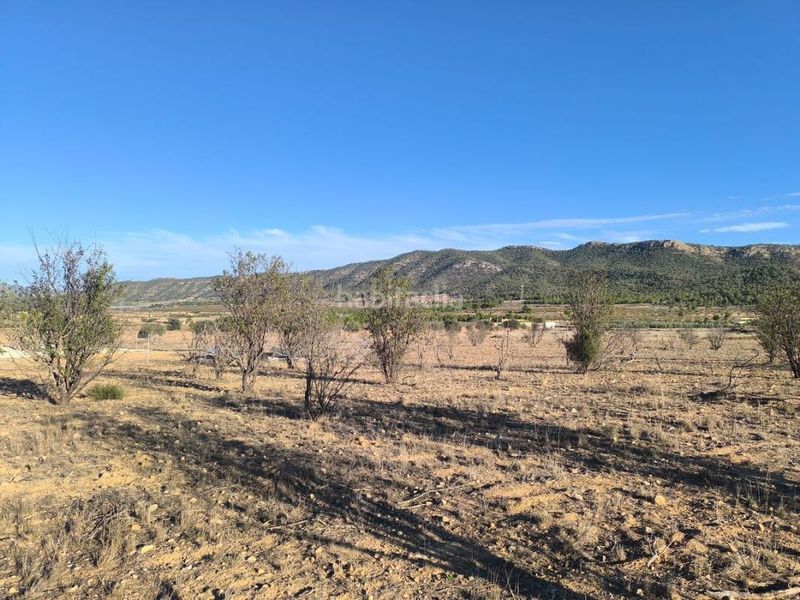 Foto fdff6aa3-b32d-4ab5-be00-970a6a2e0434. Finca rústica a Salinas