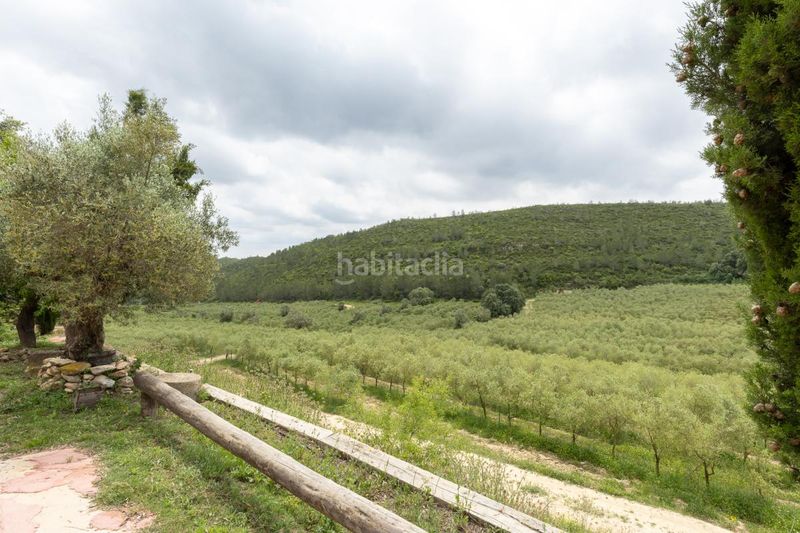 Foto 80c1d5c7-c865-4f3d-a33d-b4e25aaac9e1. Masia amb calefacció a Enguera