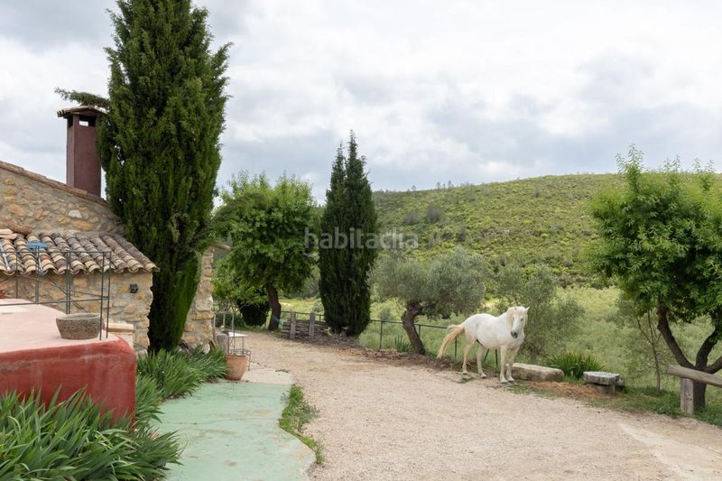 Foto b6c0f9c9-4c71-4122-a9e3-b40b9d350e9c. Masia amb calefacció a Enguera