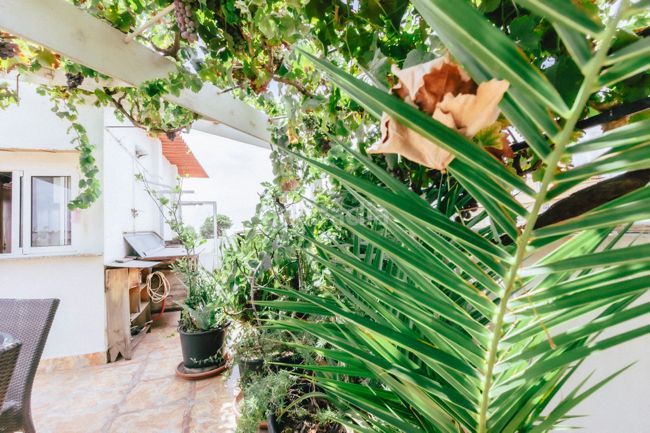 Foto 1cf31a7a-d9c6-4232-9e3a-b9638c2f91d5. Casa aparellada amb calefacció a Moncada