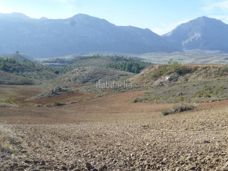 Foto 6f5ff33c-d502-4150-a989-155b869677b7. Finca rústica a Cueva de Menga Antequera