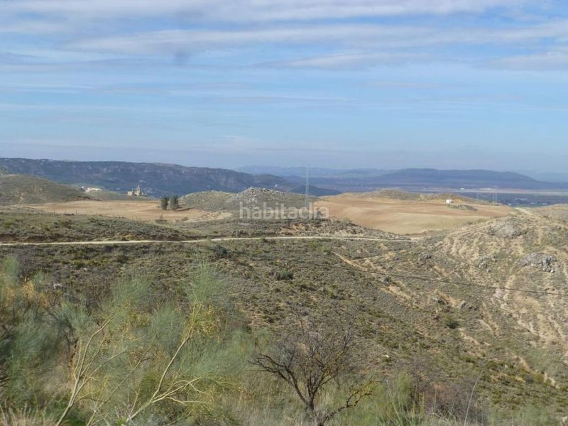 Foto 9a6d2ce4-fc11-4881-9d32-07b7219383a4. Finca rústica a Cueva de Menga Antequera