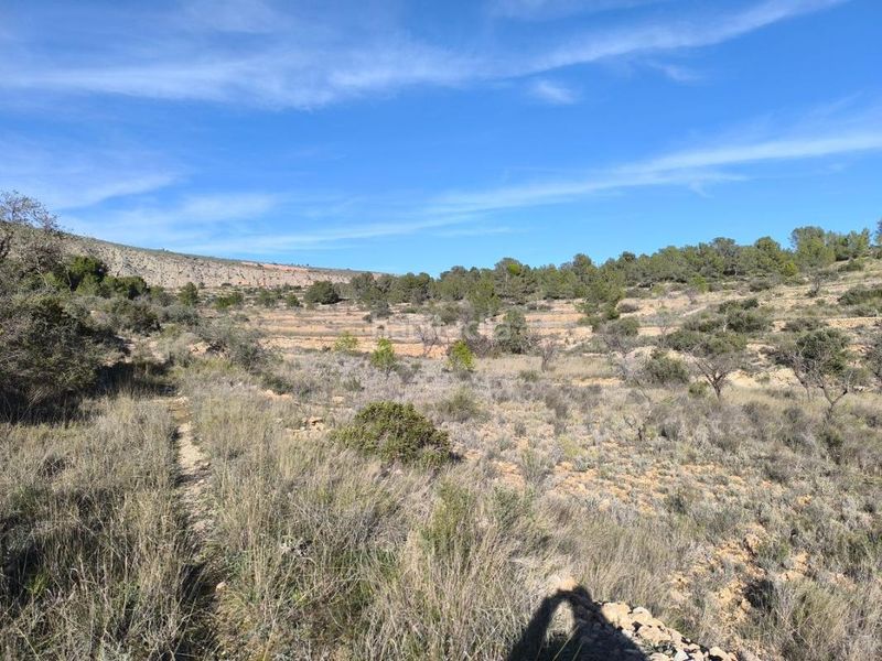 Foto 57982283-1819-4058-9c2d-67ae18e66d89. Finca rústica en Sollana