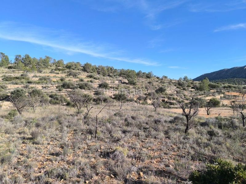 Foto 7a9b6fe2-f19f-491b-a283-ba360c4c787d. Finca rústica en Sollana