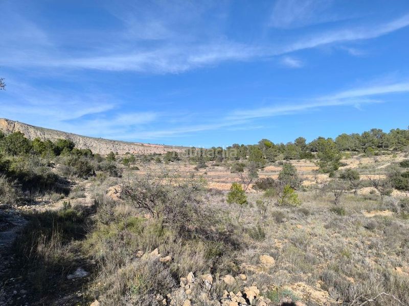 Foto b7281173-f5a7-4ed5-9da2-453929c0d574. Finca rústica en Sollana