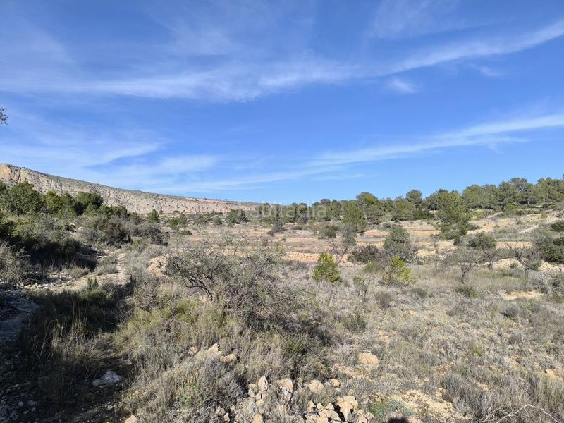 Foto b9a3bd08-ad9c-456e-92b2-c2cdf1f99743. Finca rústica en Sollana