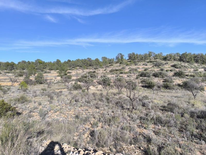 Foto bf3f4ff8-ae09-491c-a55b-89c891e41057. Finca rústica en Sollana