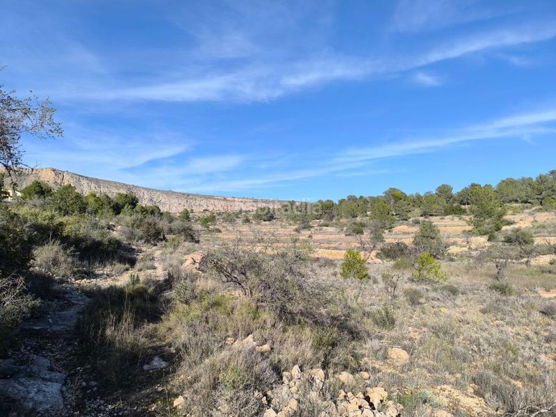 Foto f189f183-8ee2-4c99-8fcb-3d7ed94dd739. Finca rústica en Sollana