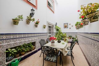 Maison  C. limonero