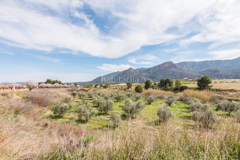 Foto c2865540-8ddb-4182-b095-72f405bcf6dc. Casa en Mula