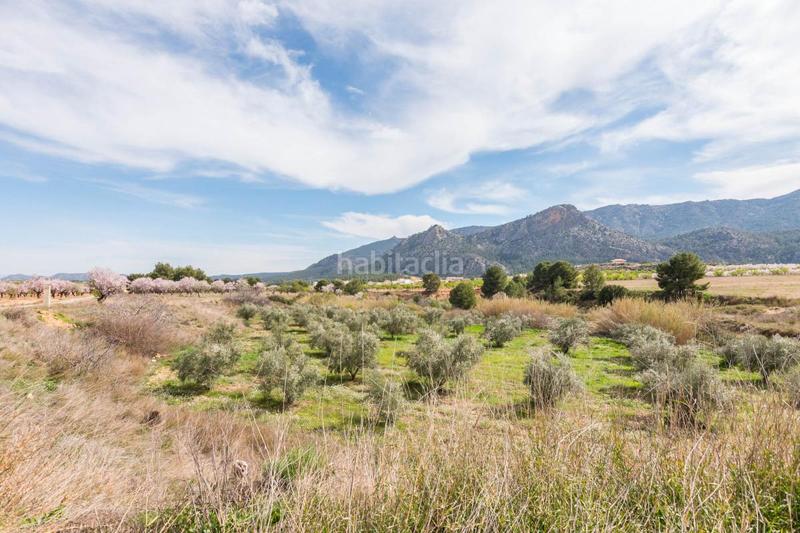 Foto c2865540-8ddb-4182-b095-72f405bcf6dc. Masia amb calefacció a Mula