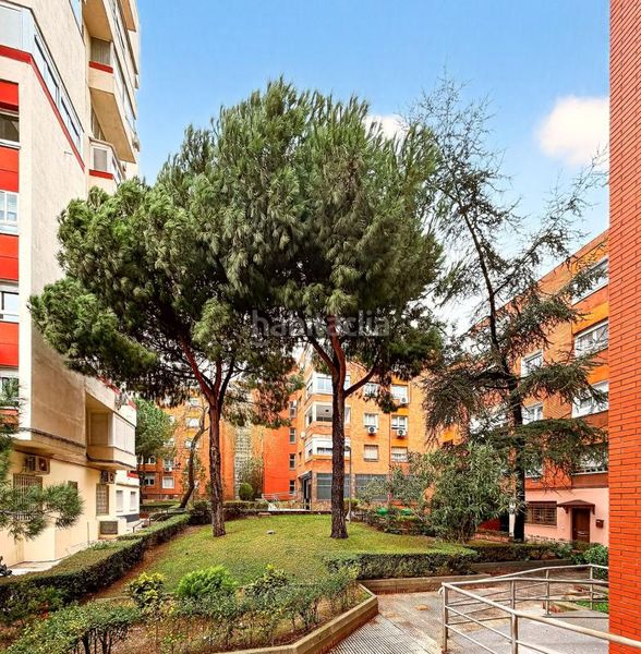 Piso en Canillas Madrid - Imagen 53