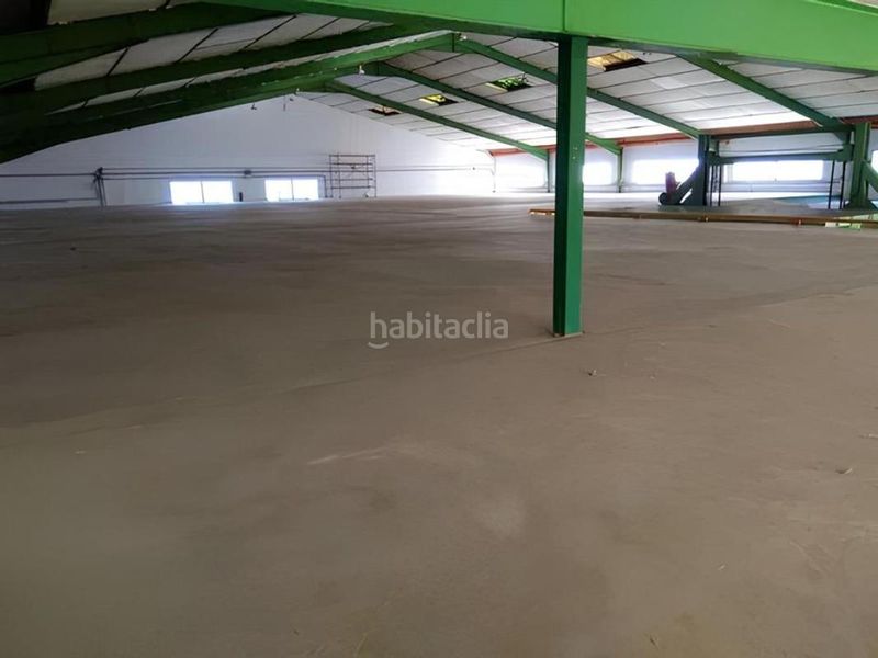 Foto bdea3035-937d-4402-9246-6f613a3e6f24. Edificio en Guardamar