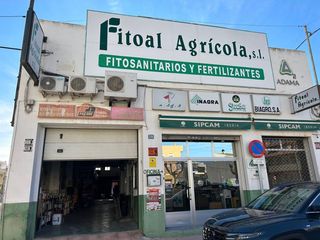 Geschäftsraum  Av. país valenciano