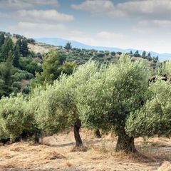Xalet a Alcaucín