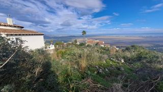 Terreno residenziale  C. los geranios
