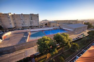 Pis  C. pintor pedro camacho