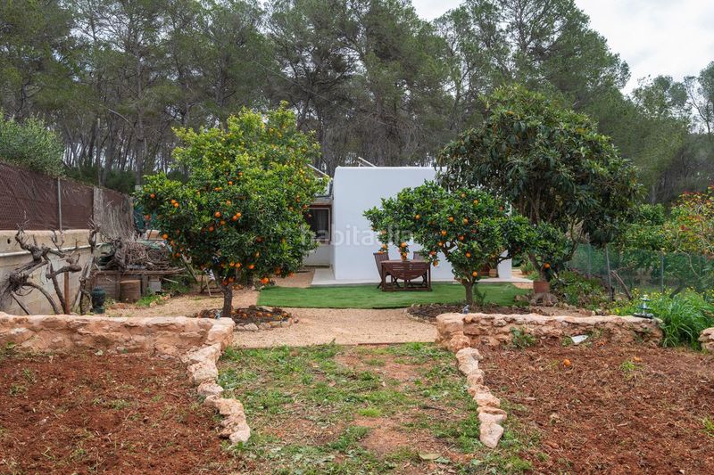 Foto 0efb0764-25cd-4092-a745-fc2069b9f07f. Casa amb calefacció a Santa Gertrudis Santa Eulària