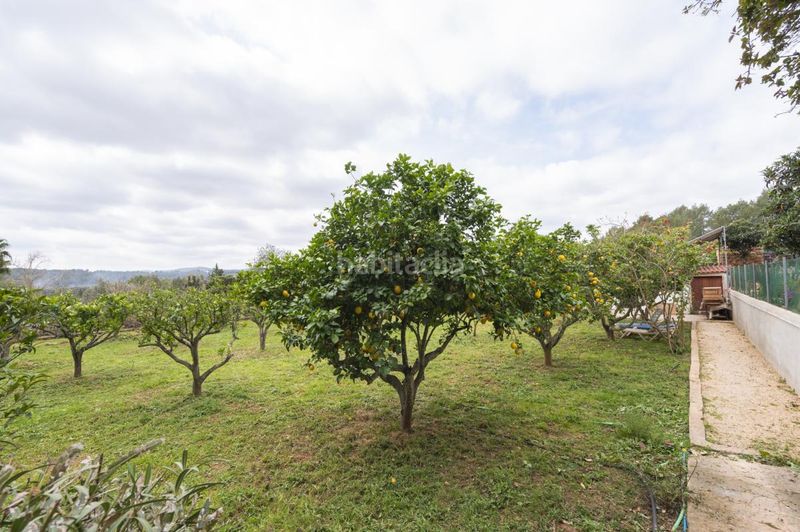 Foto 1795dcc8-2eaa-4490-8345-98a3e499b3ac. Casa amb calefacció a Santa Gertrudis Santa Eulària