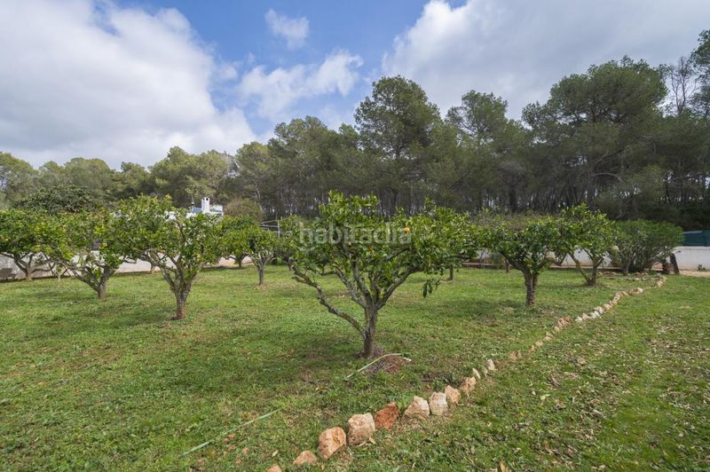 Foto 4103bcf1-8c30-47b5-af92-311cc73f464d. Casa amb calefacció a Santa Gertrudis Santa Eulària