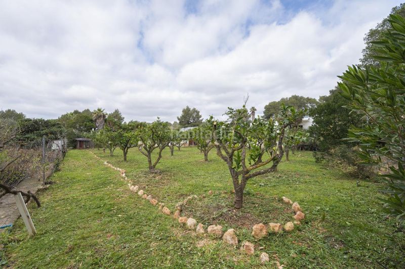 Foto 71ebbe45-221a-4e4e-9ce6-387b9593b77e. Casa amb calefacció a Santa Gertrudis Santa Eulària