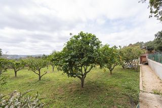 Maison  Diseminado p 26 sta gertrudis