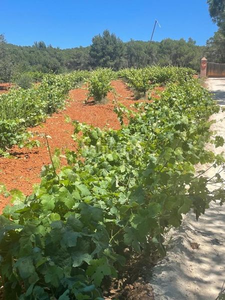 Foto 0c7369c2-6090-477b-9cd3-3e203ec21e54. Finca rústica a Sant Joan de Labritja