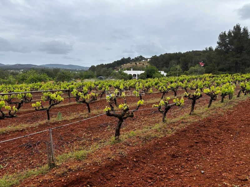 Foto 4d7c28be-d5f6-4f66-9fcf-b17f5ff01842. Finca rústica a Sant Joan de Labritja