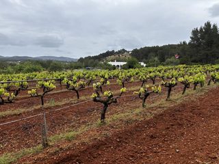 Finca rústica  Lugar port de sant miquel