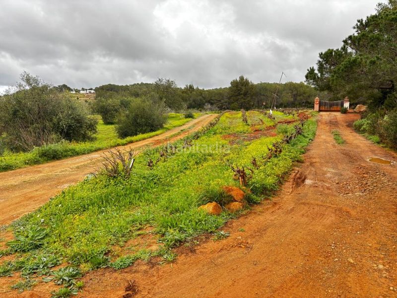 Foto 8723dc70-e2d3-4983-911c-c774bb902b10. Finca rústica a Sant Joan de Labritja