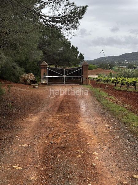 Foto a66f8727-a580-4dd8-a207-fddadf3c0b46. Finca rústica a Sant Joan de Labritja