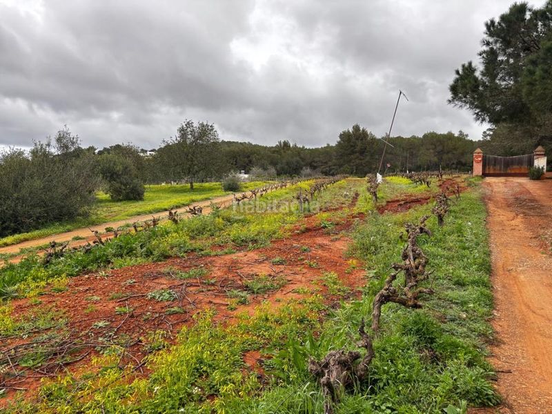 Foto aa56021f-8248-41f2-8e3a-c930182f52ce. Finca rústica a Sant Joan de Labritja