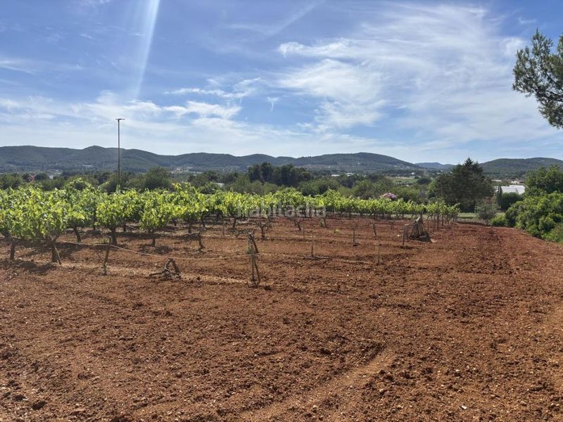 Foto ba462ced-1029-4f7c-a468-ef7f9c8af05a. Finca rústica a Sant Joan de Labritja