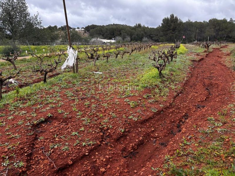 Foto d981cfb6-c3ed-4704-a004-96d14d55cc48. Finca rústica a Sant Joan de Labritja