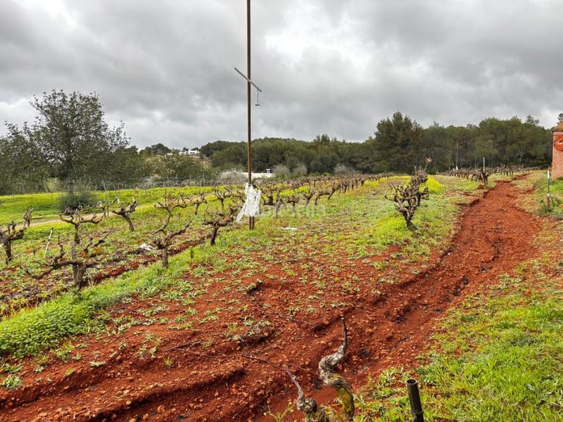 Foto dc5cc79e-e010-4283-9202-a9d049d175d9. Finca rústica a Sant Joan de Labritja