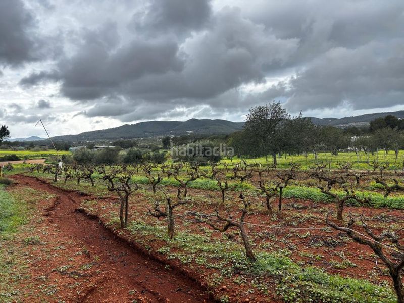 Foto deddb734-c779-4b93-b2b8-207ca1407315. Finca rústica a Sant Joan de Labritja