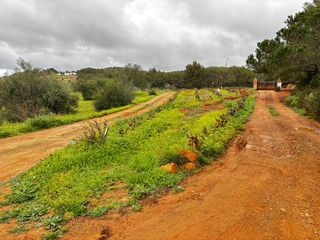 Finca rústica  Lugar port de sant miquel