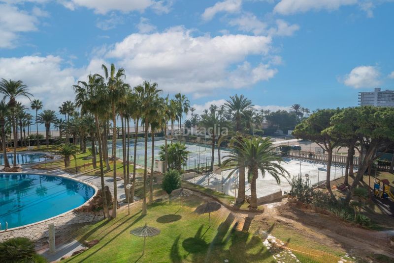 Foto f5171016-faa2-41c5-926f-85d4a667df66. Pis amb calefacció aparcament piscina a Playa Muchavista Campello (el)