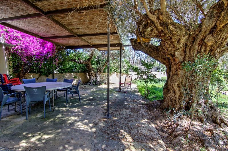 Foto be607248-3d7b-4cfe-9b6a-039a860beec7. Casa en Centro Mutxamel